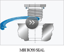 MBI BOSS SEAL