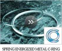 SPRING ENERGIZED METAL C-RING